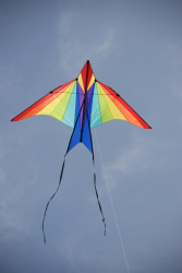 Bolton2009-020