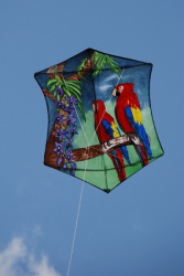 WhitleyBay2009-016