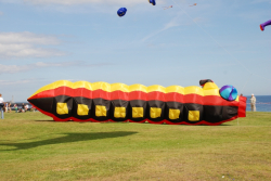 WhitleyBay2009-030