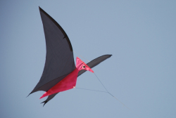 Margate2009-016