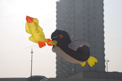 Margate2009-042