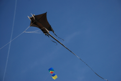 Berck2010-061
