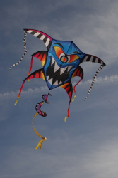 Berck2010-068