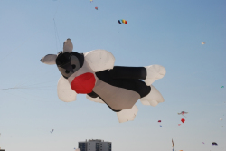 Berck2010-083