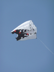 Berck2010-176
