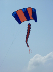 Berck2010-177