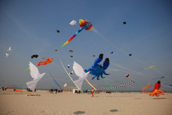 Berck2010-215