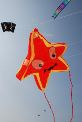 Berck2010-228