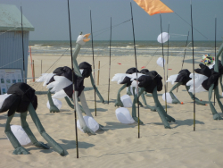 Berck2010-240