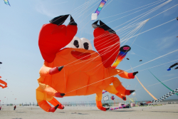 Berck2010-246