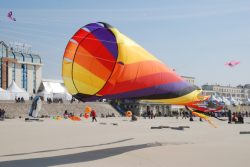 Berck2010-258