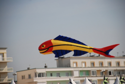 Berck2010-261