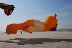 Berck2010-270