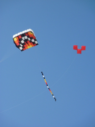 Berck2010-412
