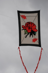 Berck2010-420