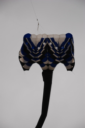 Berck2010-425