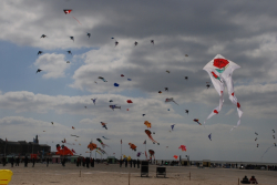 Berck2010-441