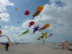 Berck2010-443