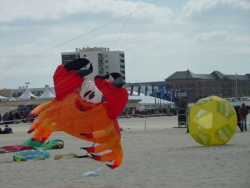 Berck2010-444
