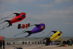 Berck2010-449