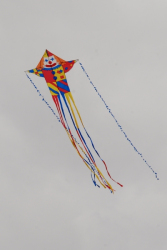 Sunderland2010-027