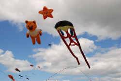 Sunderland2010-036