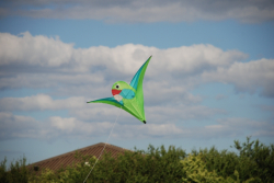 Sunderland2010-070