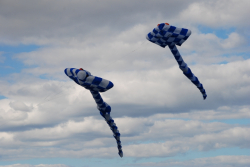 Sunderland2010-071
