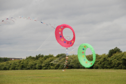 Sunderland2010-089