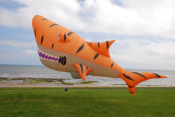WhitleyBay2010-008