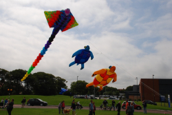 WhitleyBay2010-071