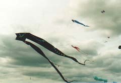 Sunderland2002-024