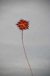 Margate2010-051