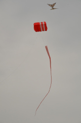 Byker2011-008