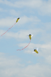 Sunderland2011-049