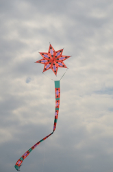 Sunderland2011-052