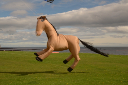 WhitleyBay2011-005