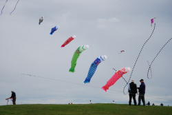 WhitleyBay2011-054