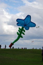 WhitleyBay2011-058