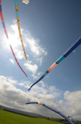 Nidderdale2011-052