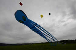 Nidderdale2012-044