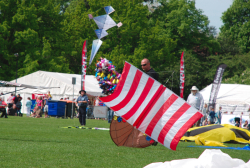 bedford2013-036