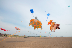 stannes2013-008