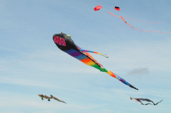stannes2013-022