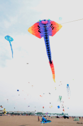 stannes2013-006