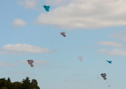 bristol2013-046