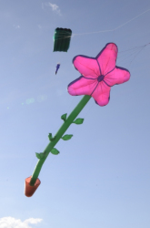 Prestatyn2014-025