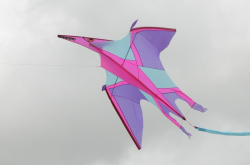 Bedford2014-006