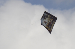 Bedford2014-034
