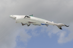 Bedford2014-059